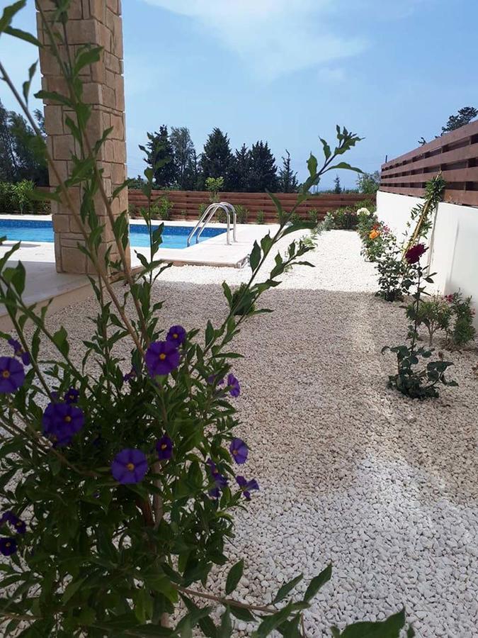 Olivia Villa 63 Paphos Exterior foto